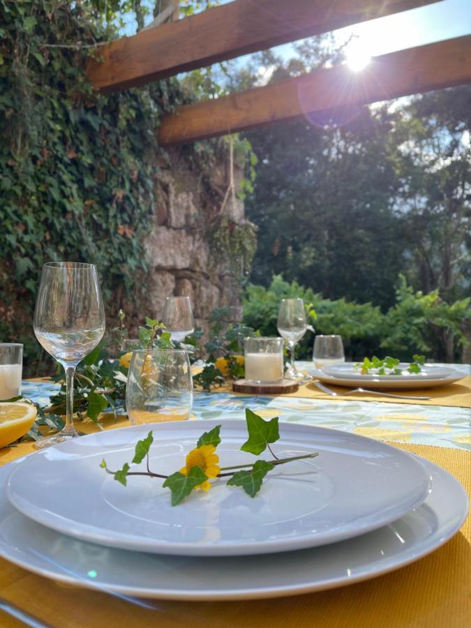 Casa De Morao Villa Viana do Castelo Dış mekan fotoğraf